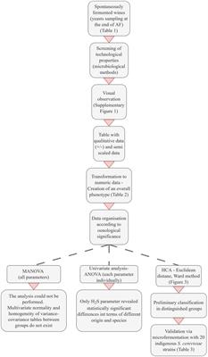 Developing a novel selection method for alcoholic fermentation starters by exploring wine yeast microbiota from Greece